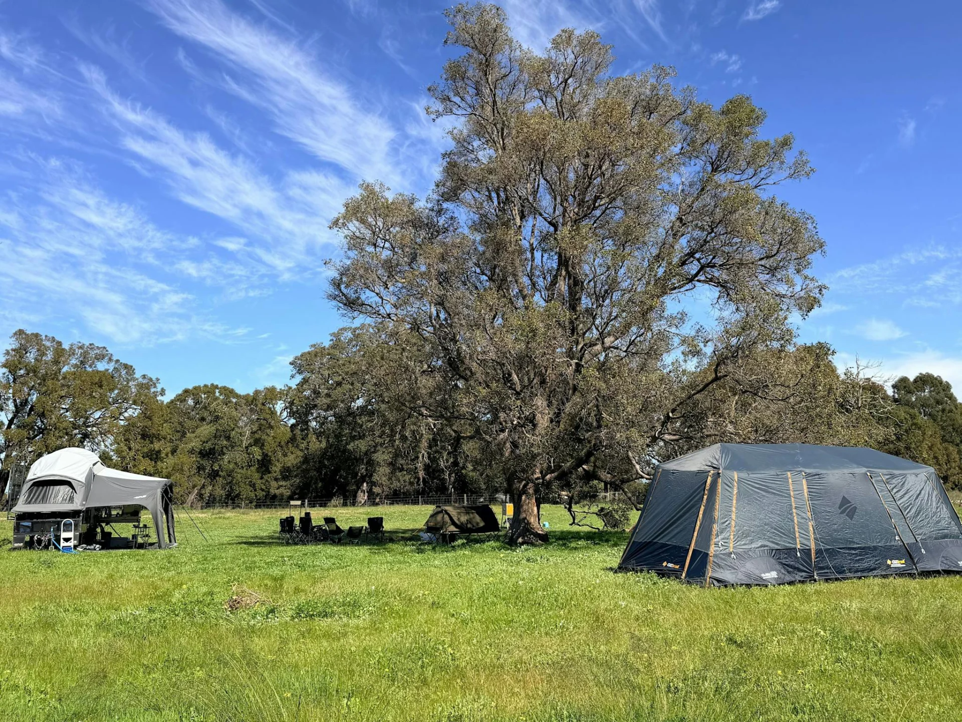 Winter time at the paddock