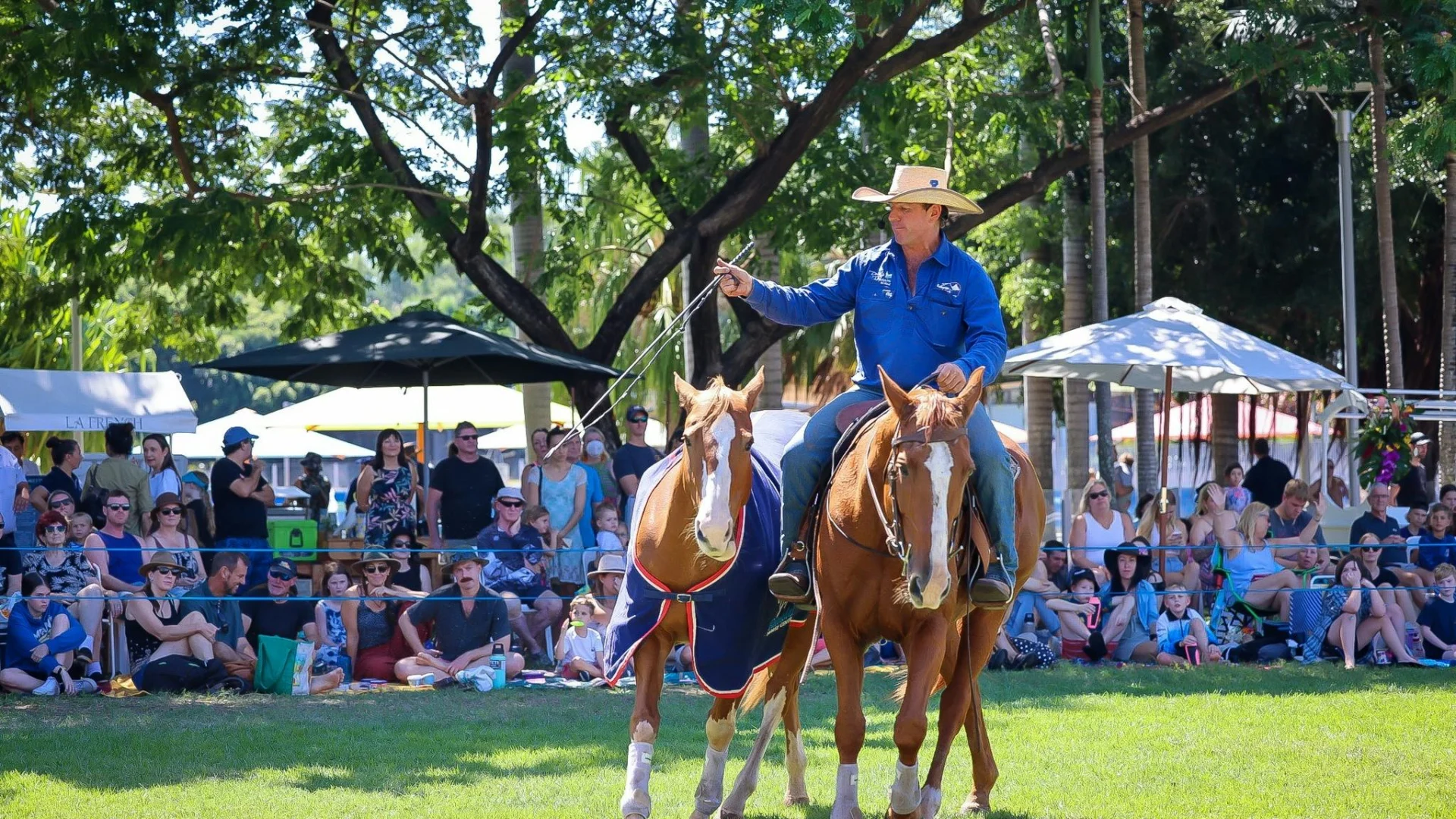 Working with a horse at liberty - meaning no physical constraint