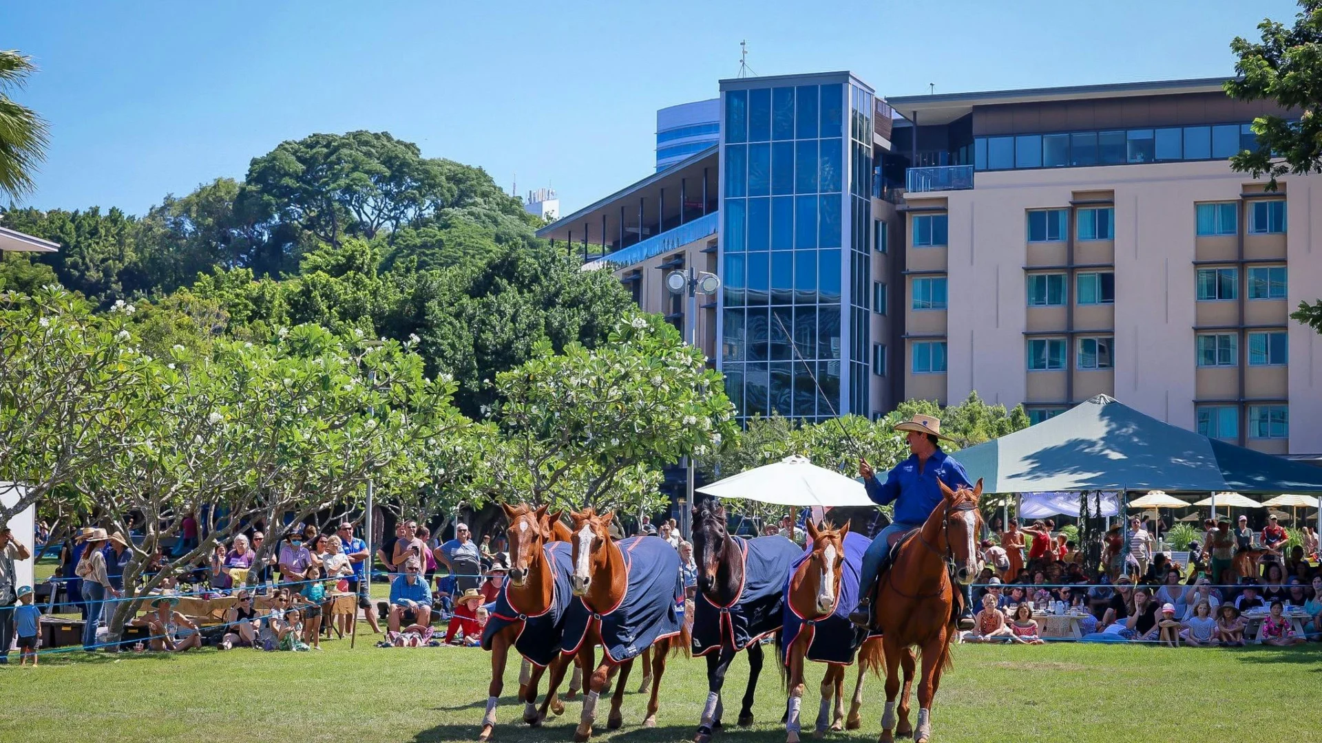Working horses on the Darwin Waterfront