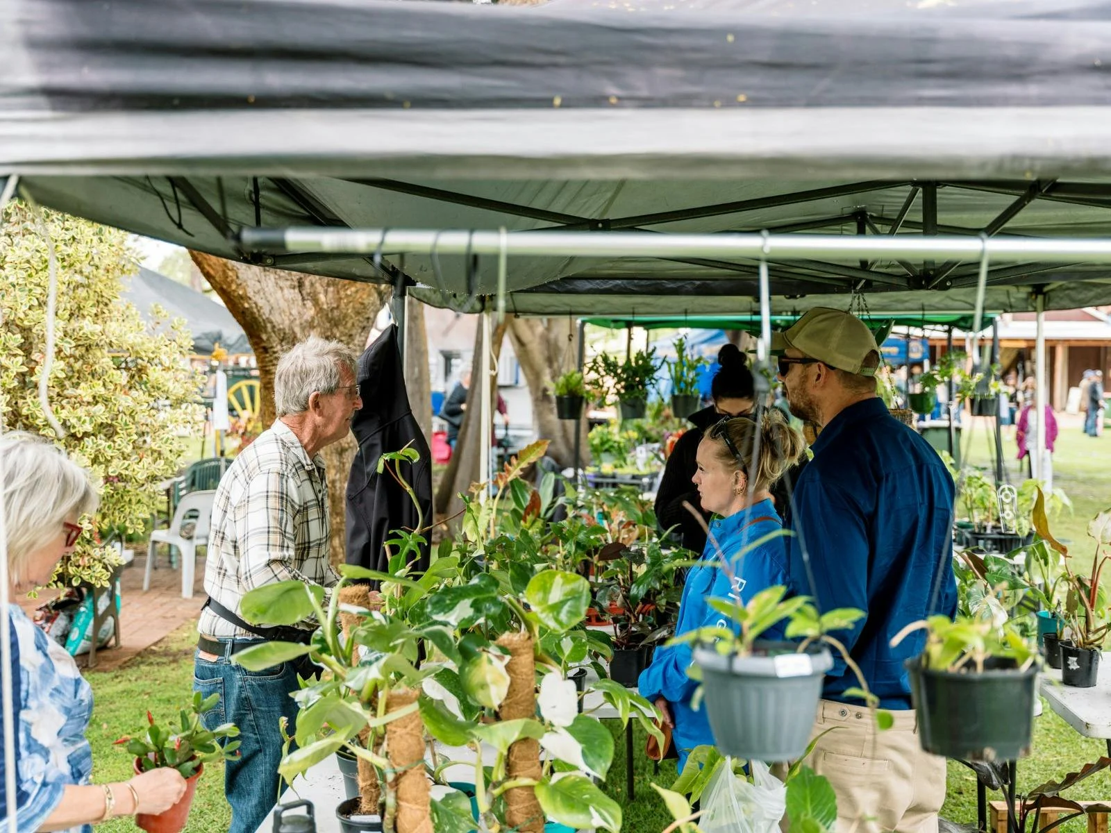 Mid-range shot of a customer speaking with the operator of a plant stall