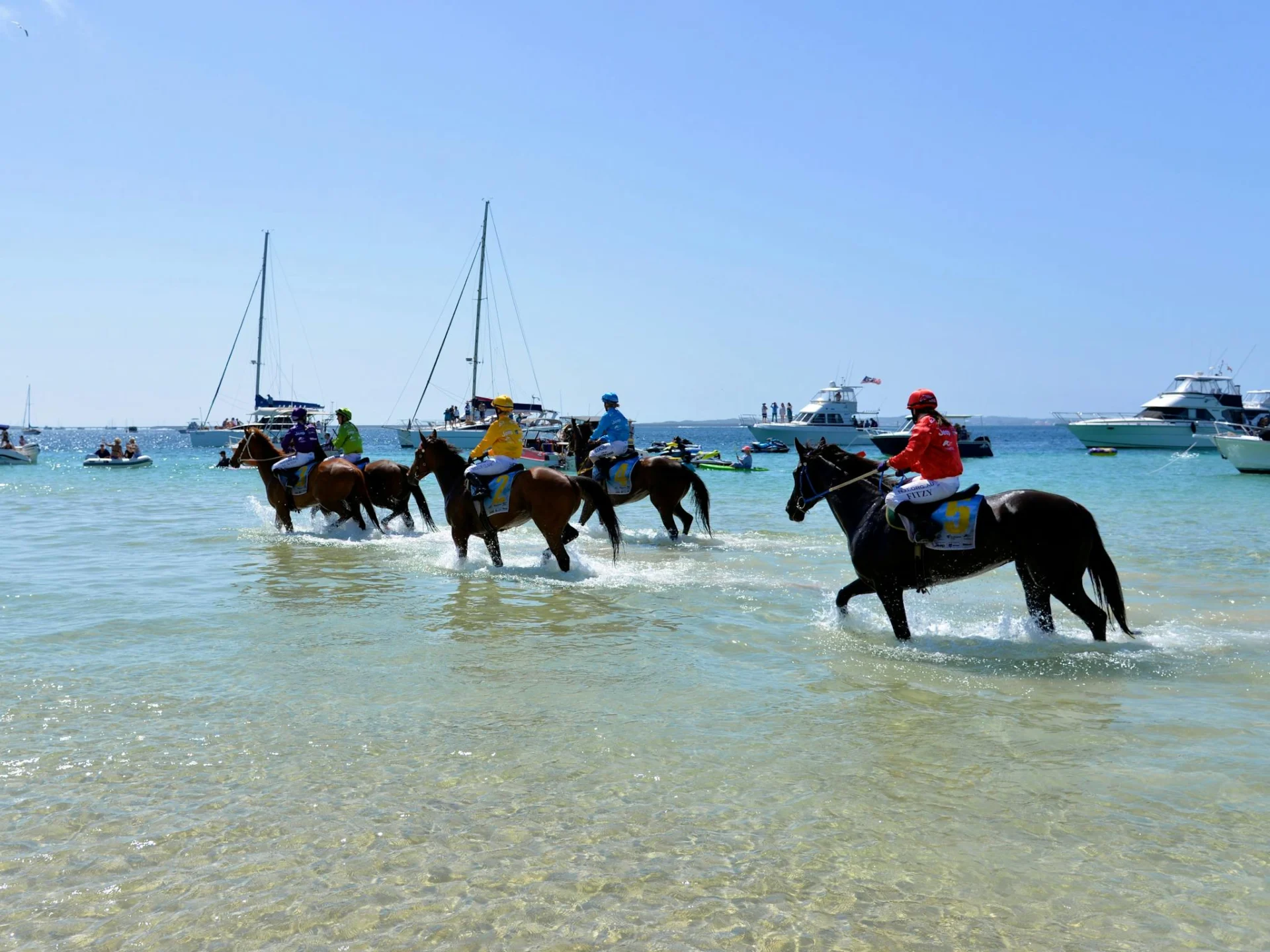 Horse racing