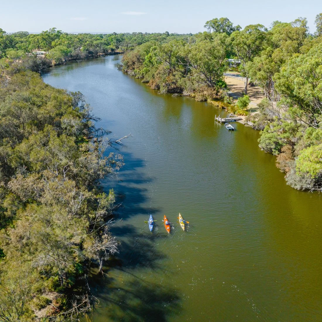 Aerial view of four people kayaking on a wide river, surrounded by dense green trees and a narrow sandy bank on the right side.