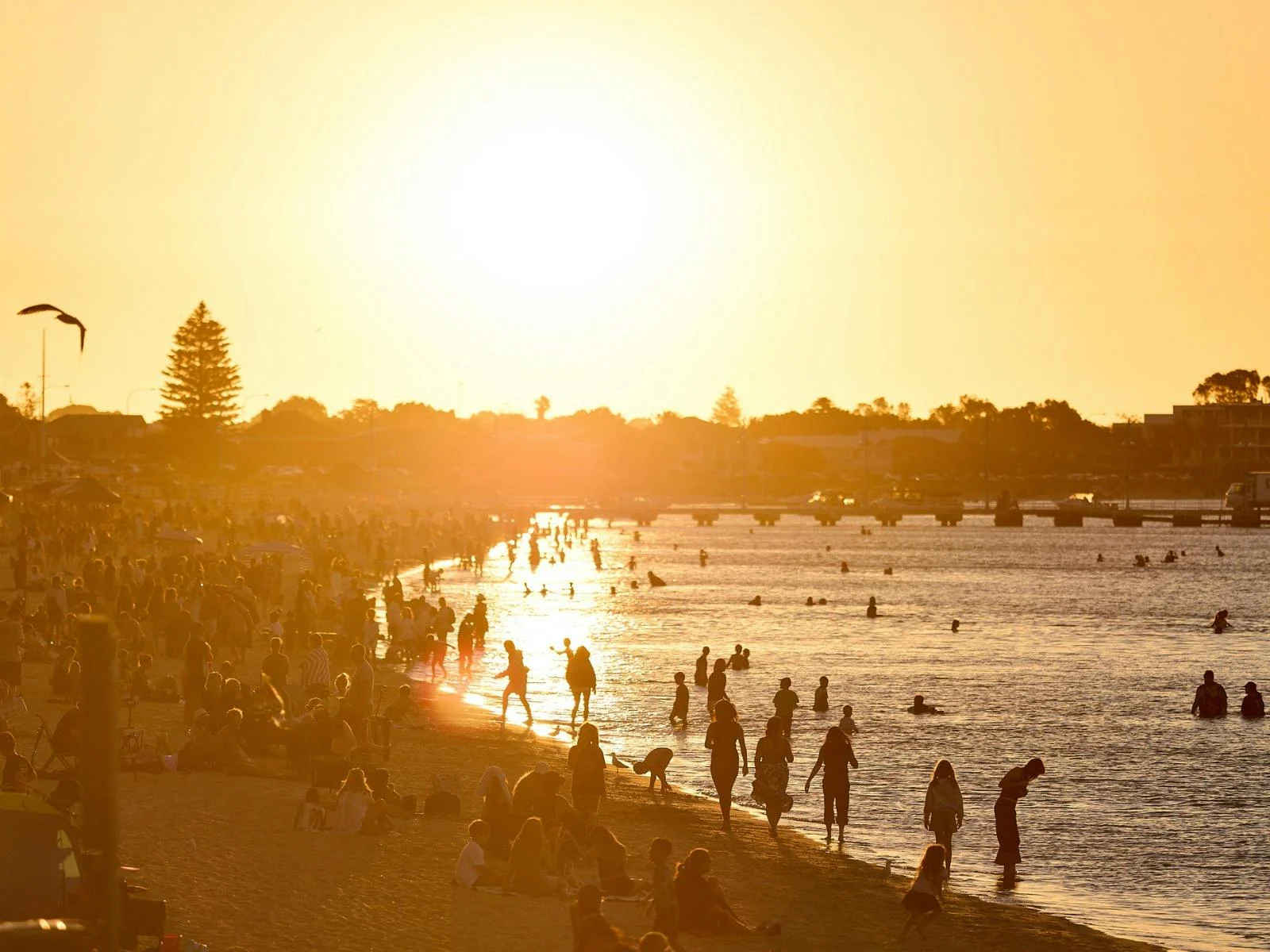 Beautiful sunset shot of a beautiful beach