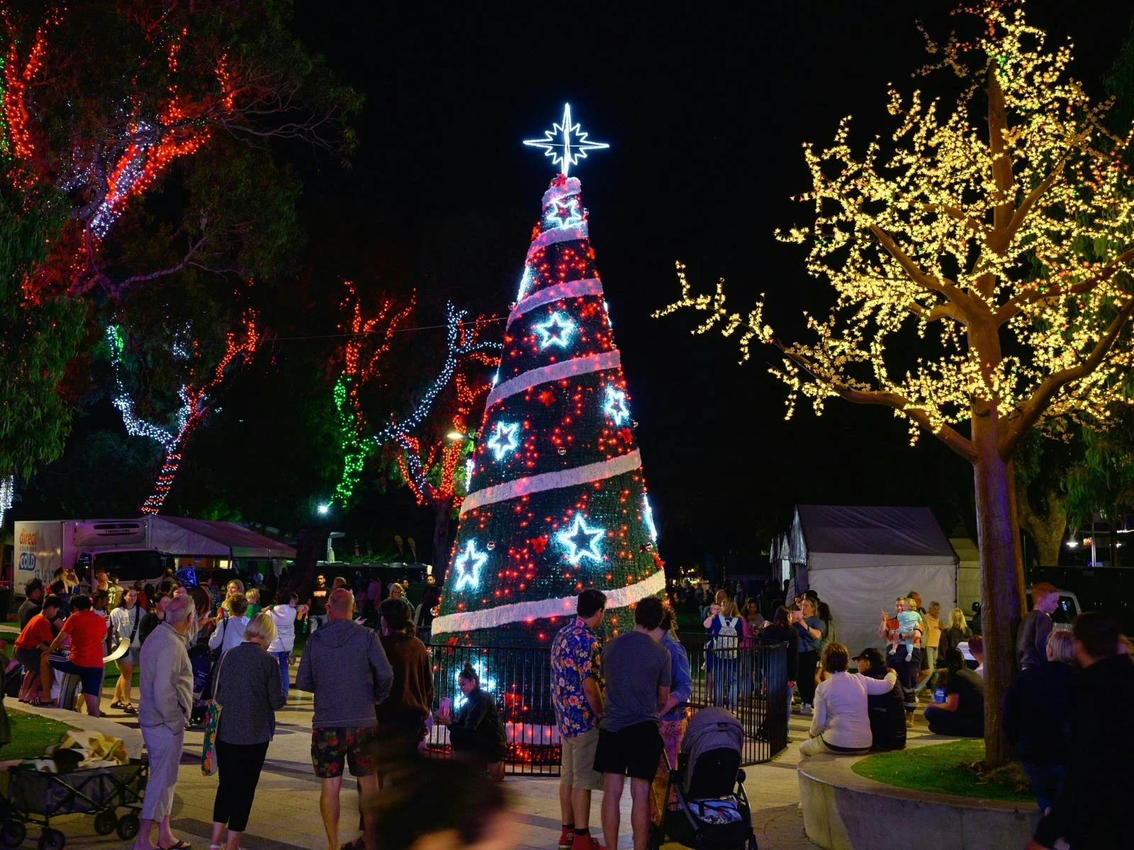 Enormous Christmas Tree lit up with lights