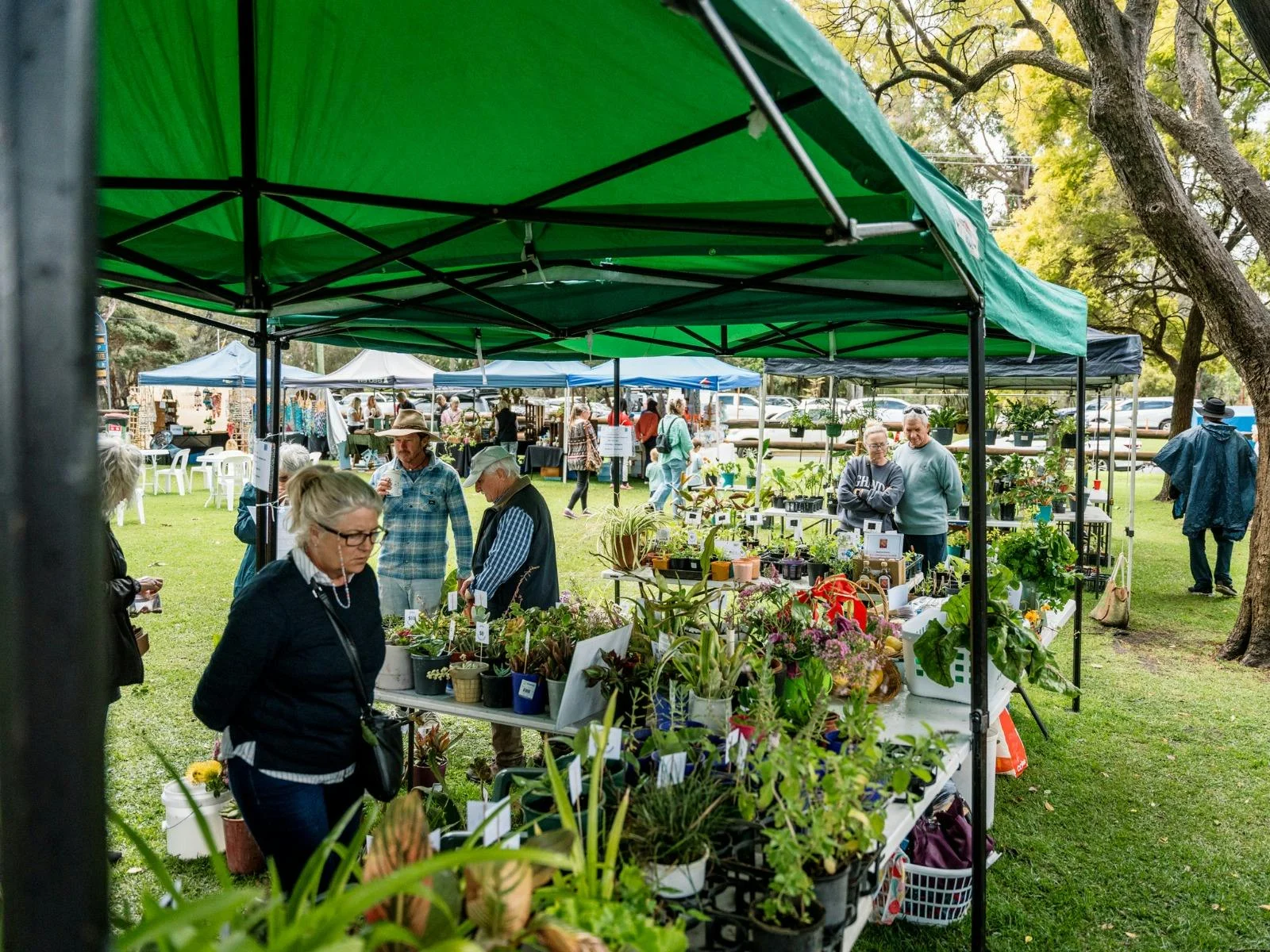 Wide shot of patrons looking through items at a plant market stall