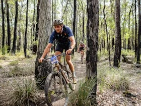 C-Wise Dwellingup 100