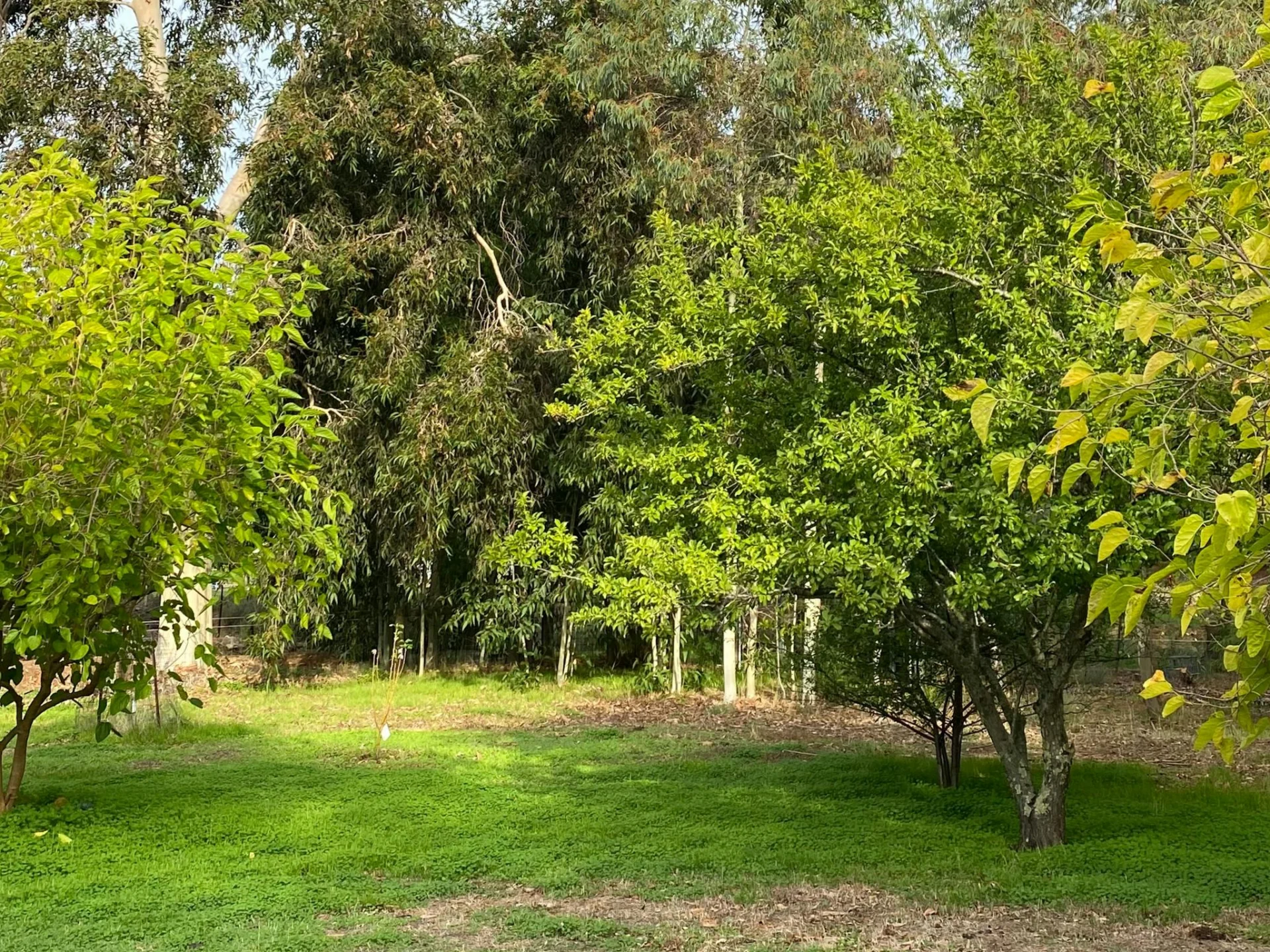 Jarrahdale Bush Retreat