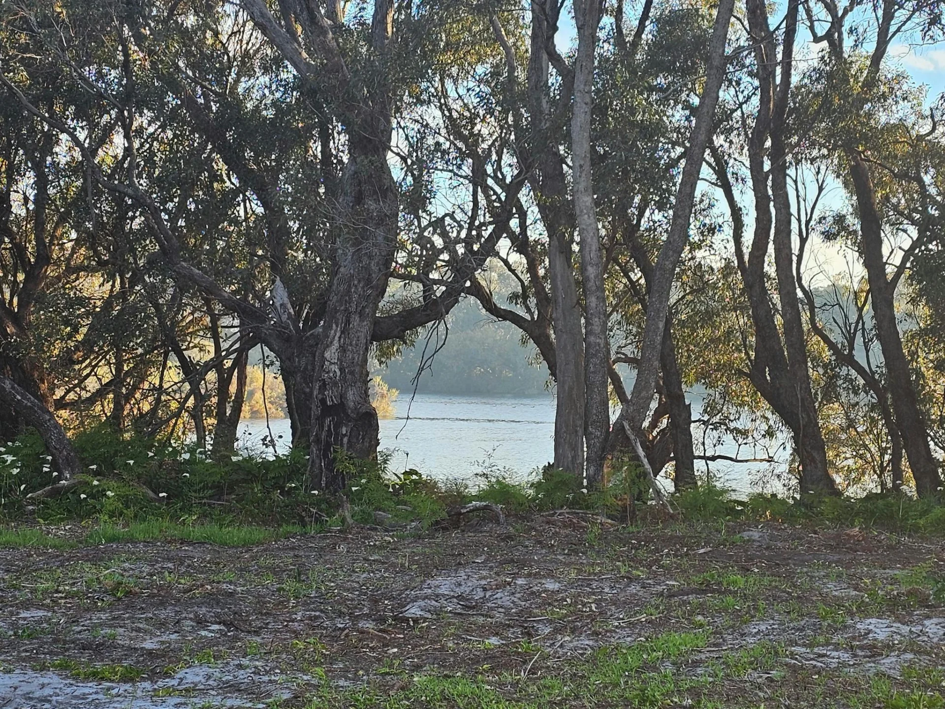 Herron Point Farm Stay