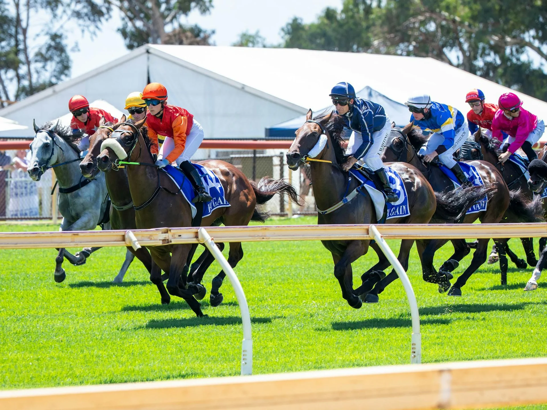 Horses Racing at Pinjarra Park