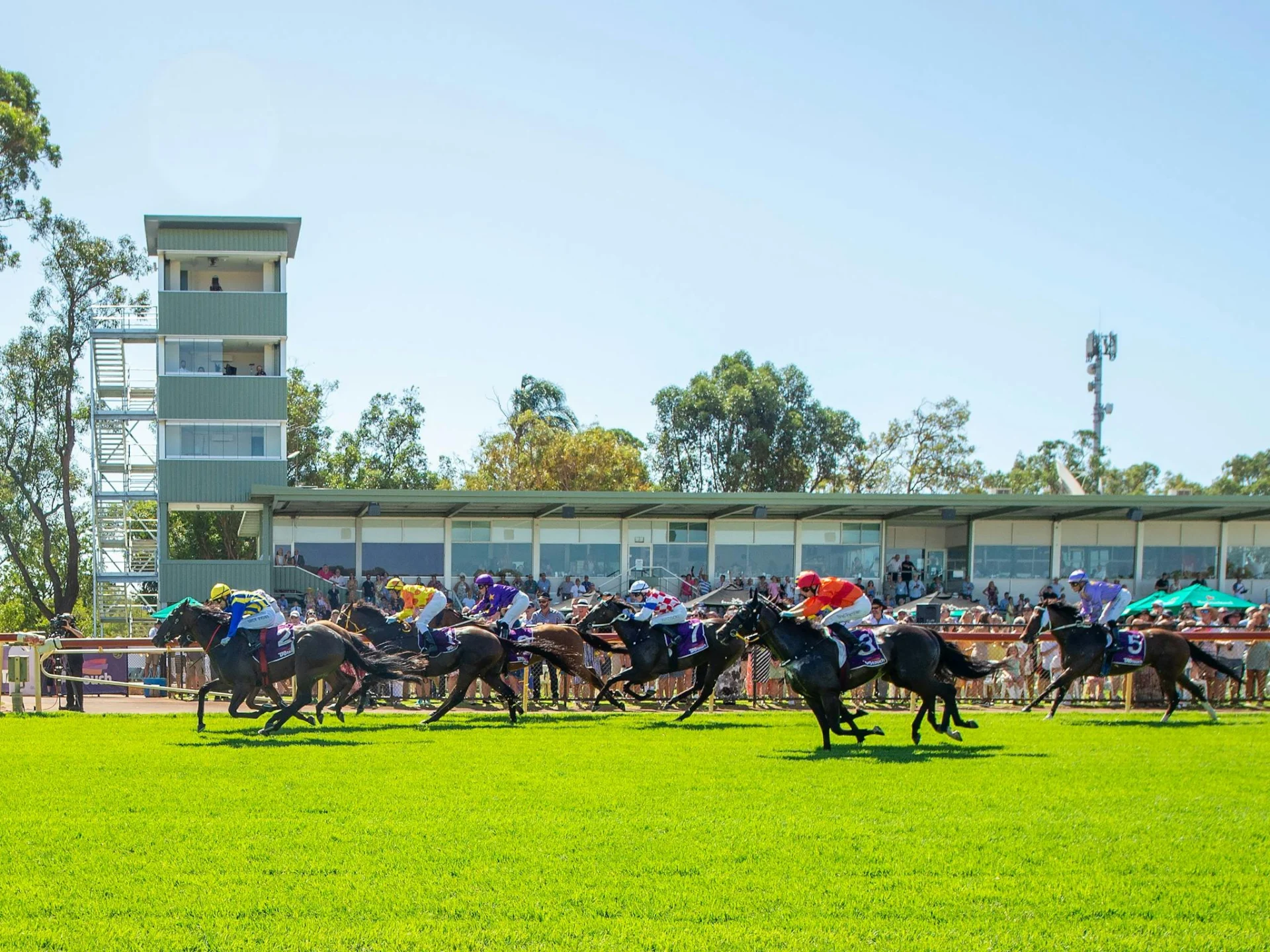 Horses Racing at Pinjarra Park
