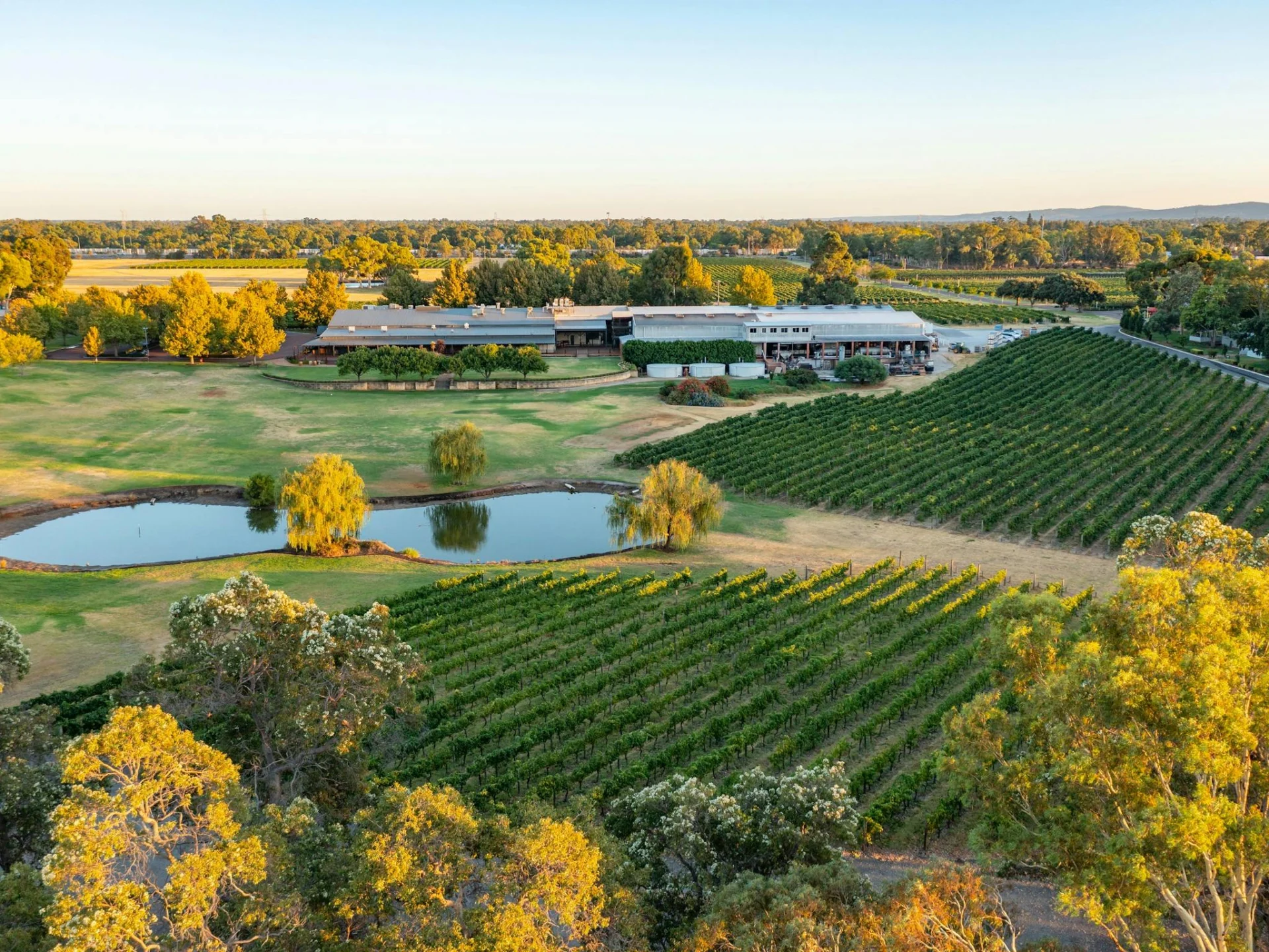 Swan Valley Winery