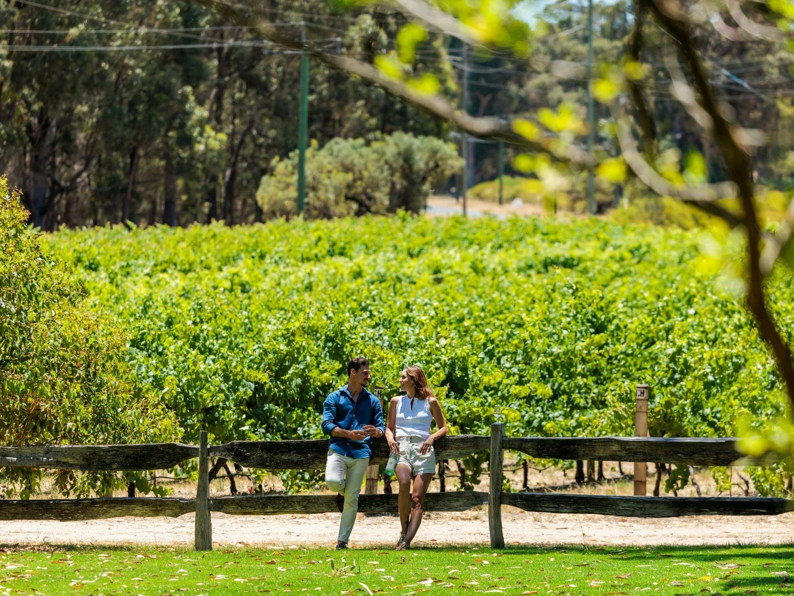 Man and woman standing by lush vineyards