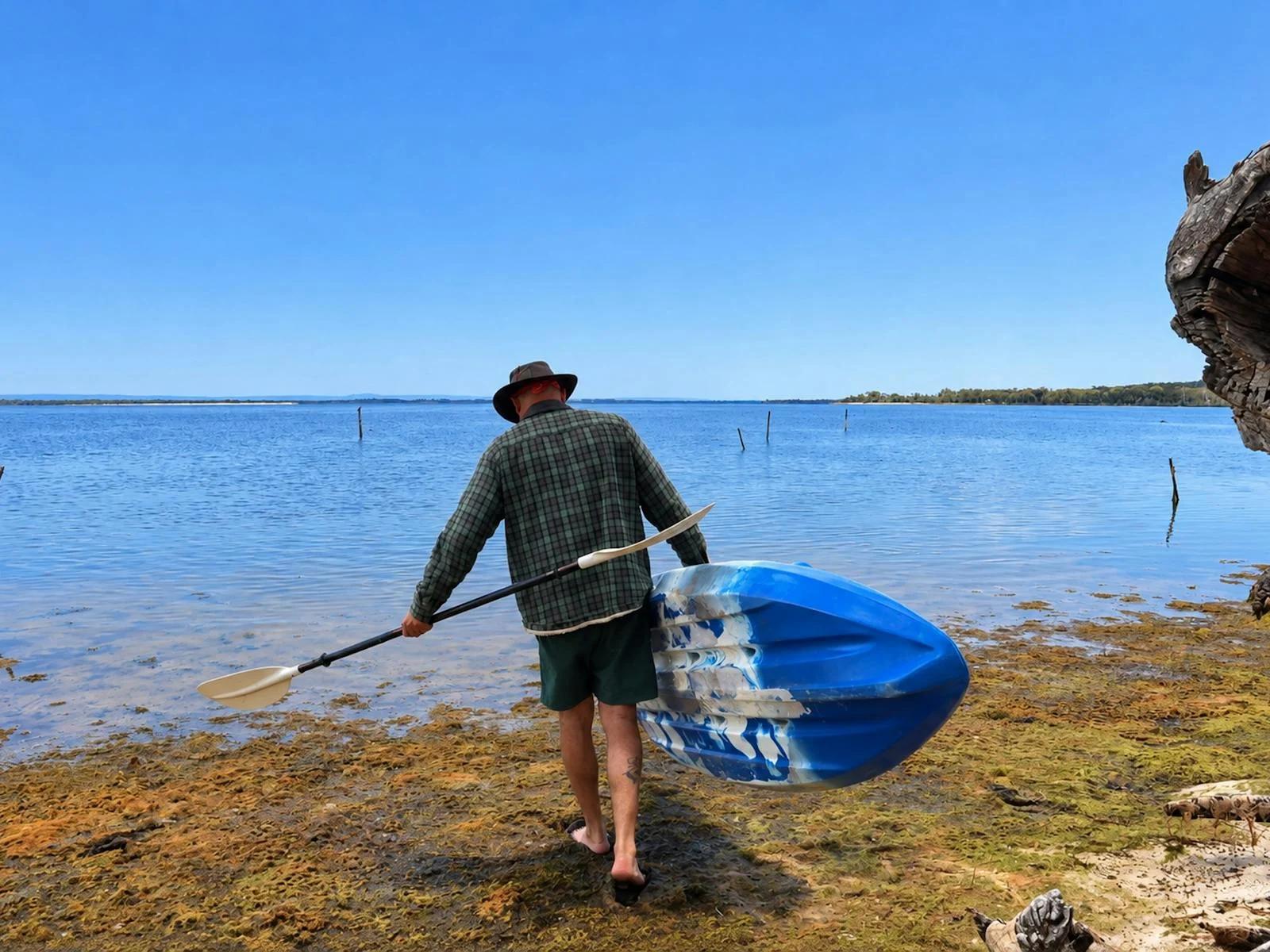 kayak