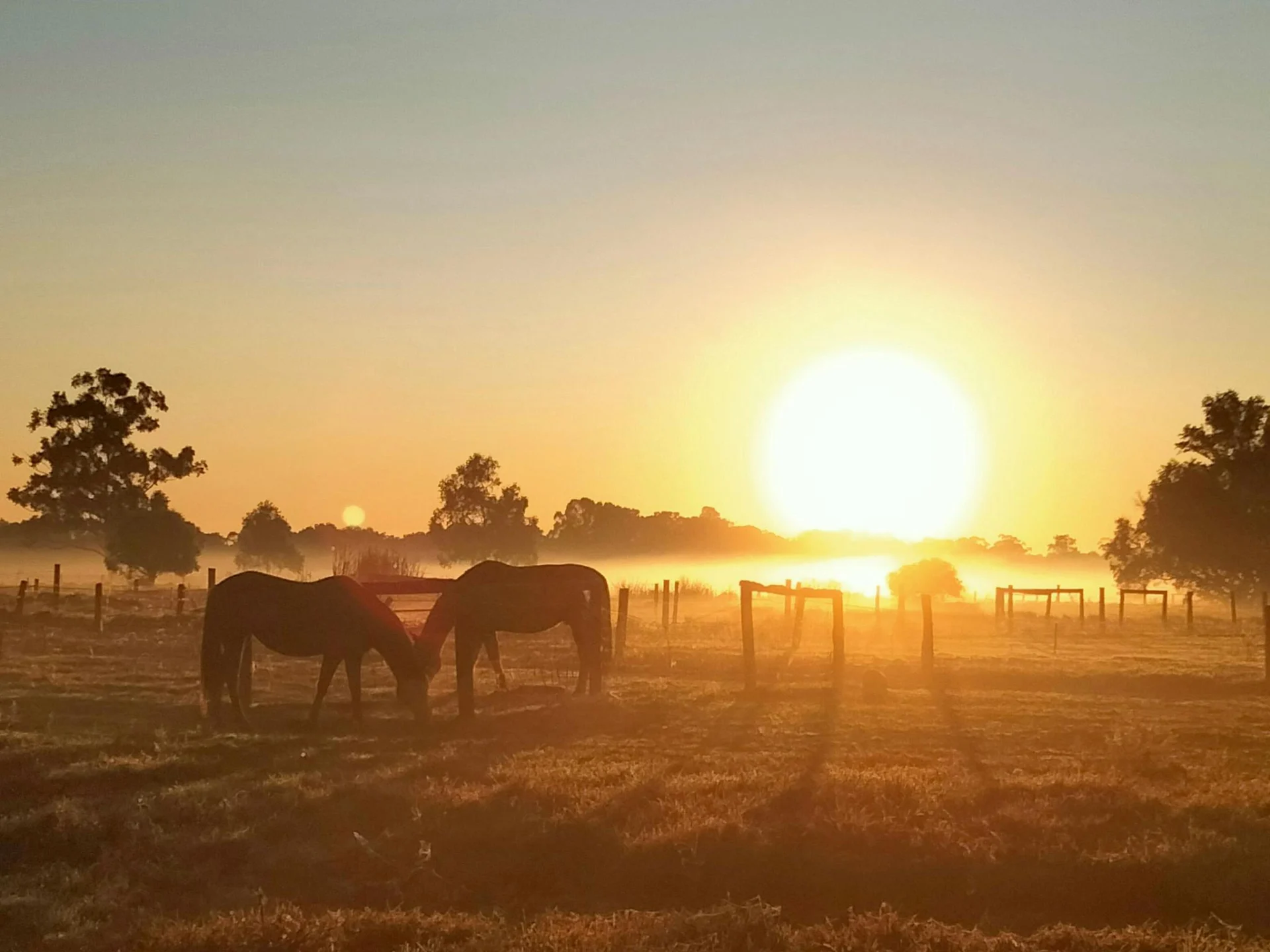 Freedom Farmstay - Baldivis Rural