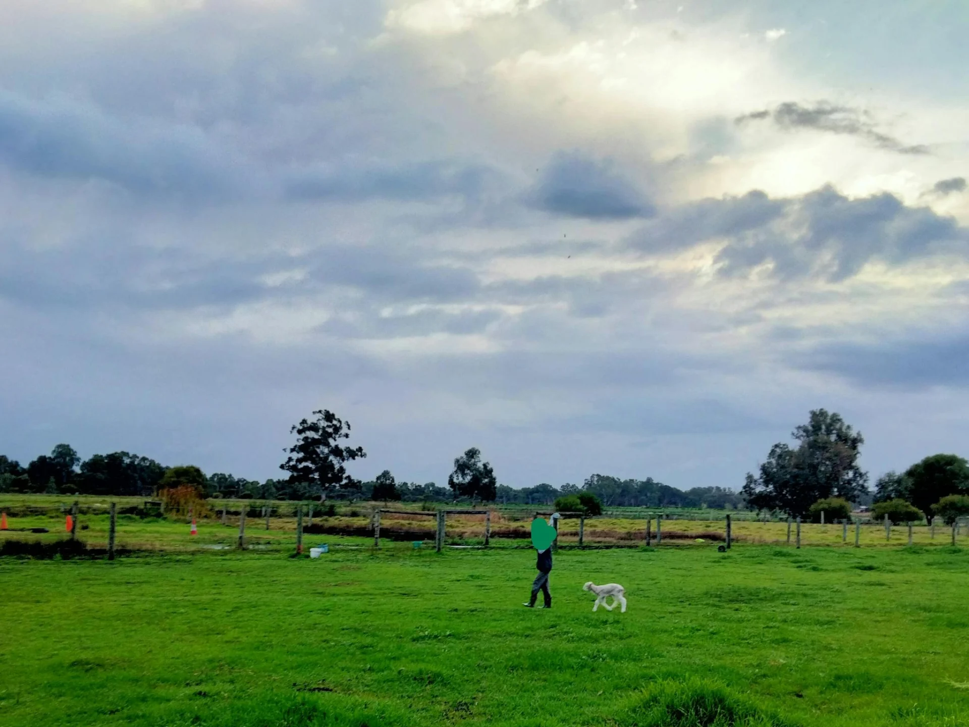 Freedom Farmstay - Baldivis Rural