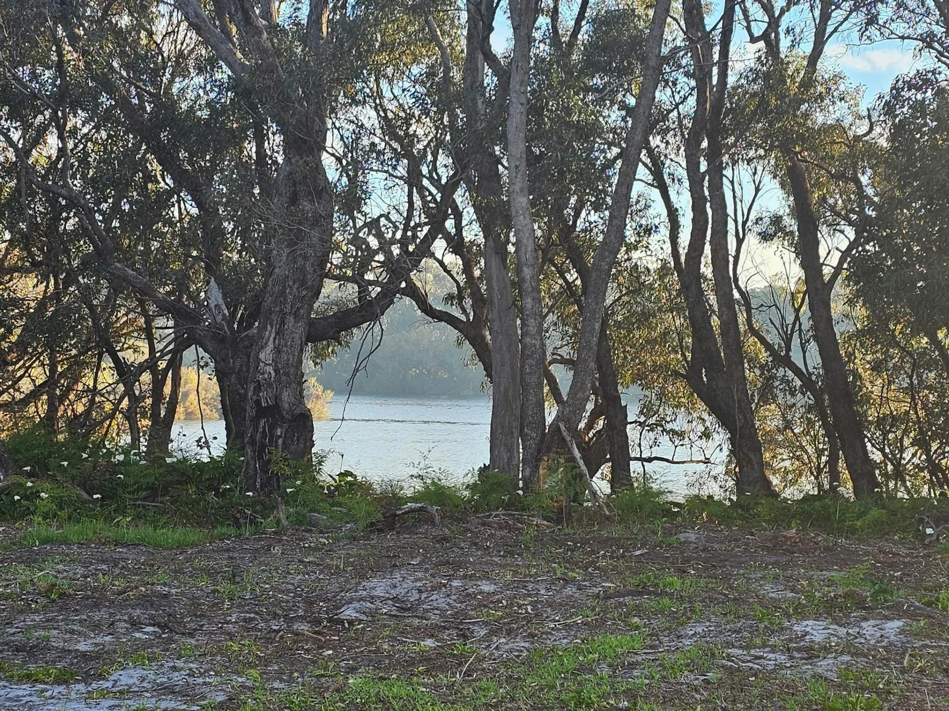 Herron Point Farm Stay
