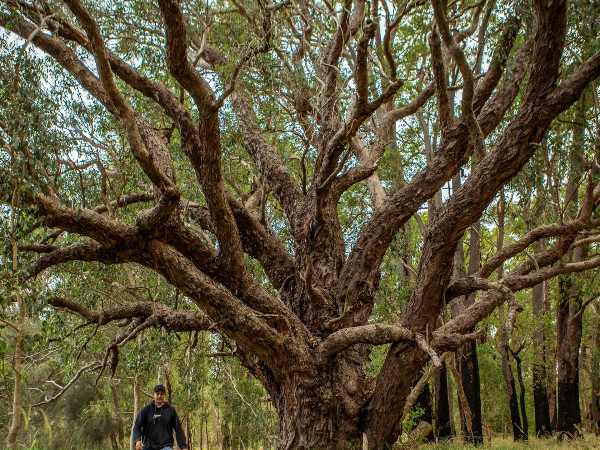 Rose’s Reserve
