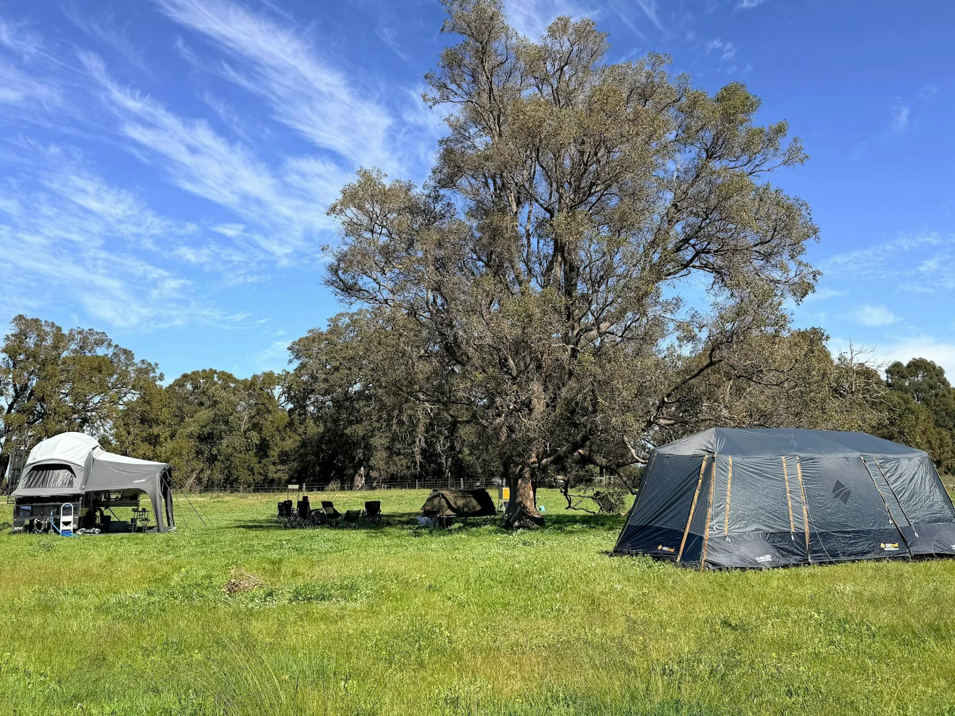 Winter time at the paddock
