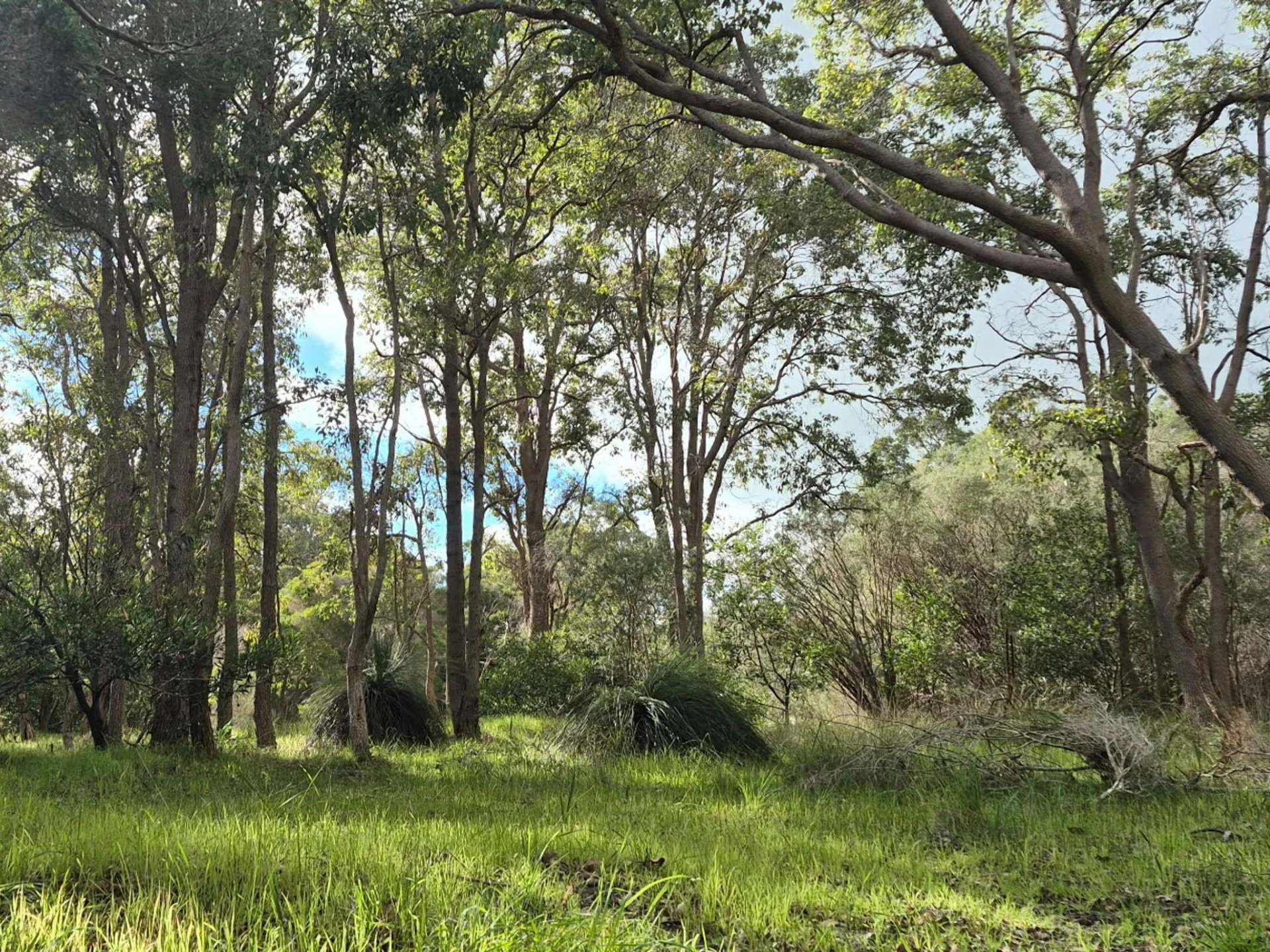 Casuarina Bush Farm Camping